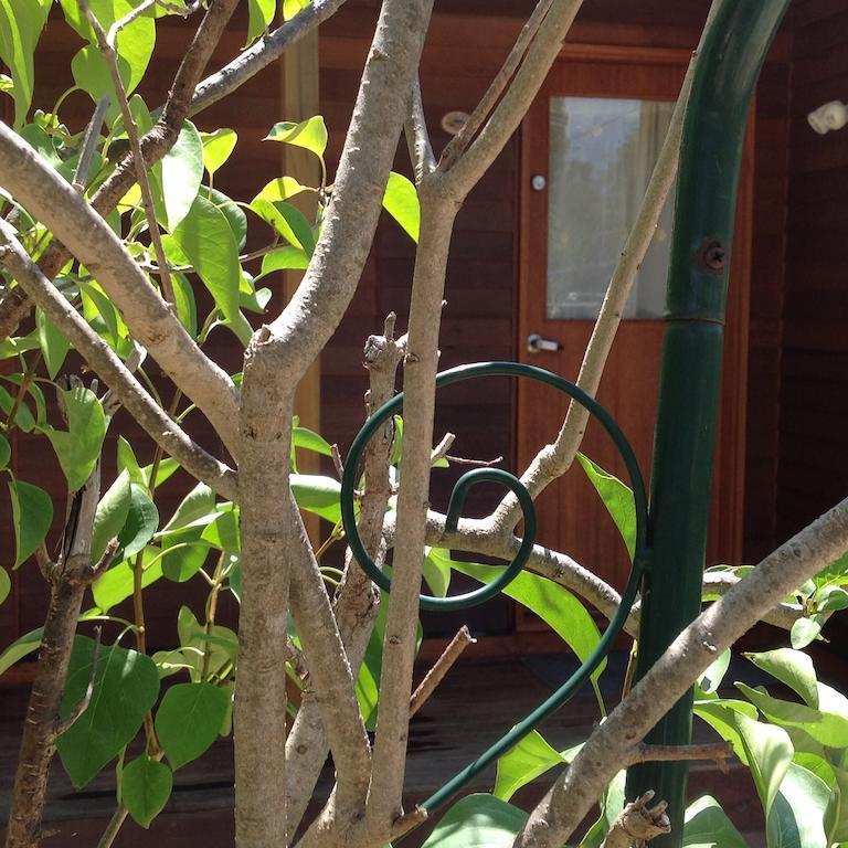 The Cook Cottage Camberra Exterior foto